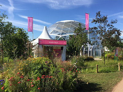 RHS Butterfly House